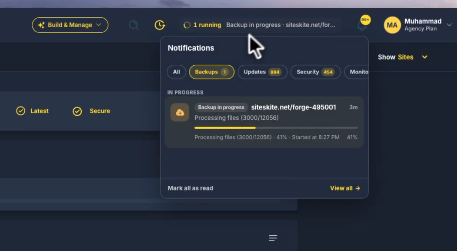 SiteSkite notifications showing a backup in progress with live file-processing status