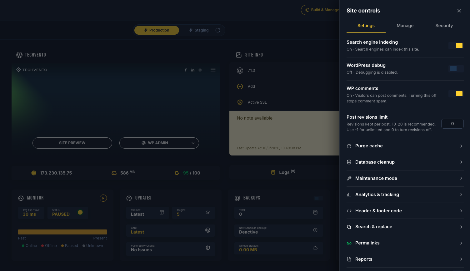 SiteSkite Site controls panel with indexing, debug, comments, and revisions switches, plus purge cache, database cleanup, maintenance mode, analytics, and header and footer code