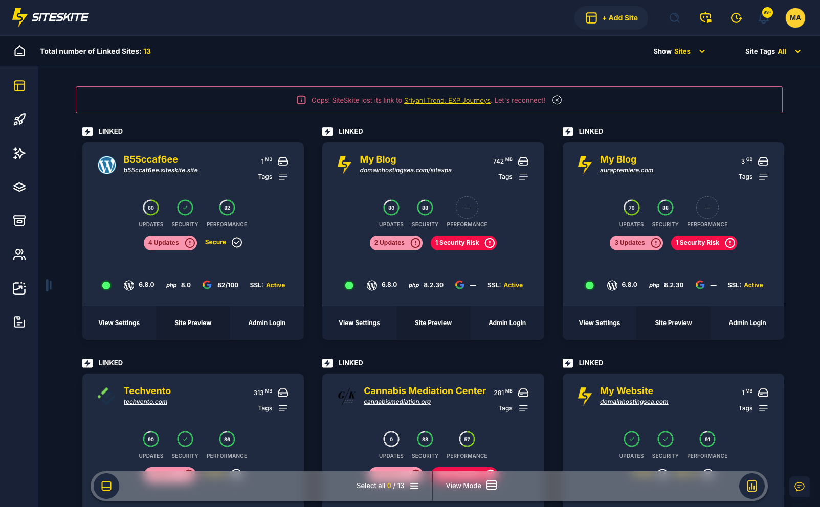 SiteSkite BirdEye grid view of an agency WordPress portfolio