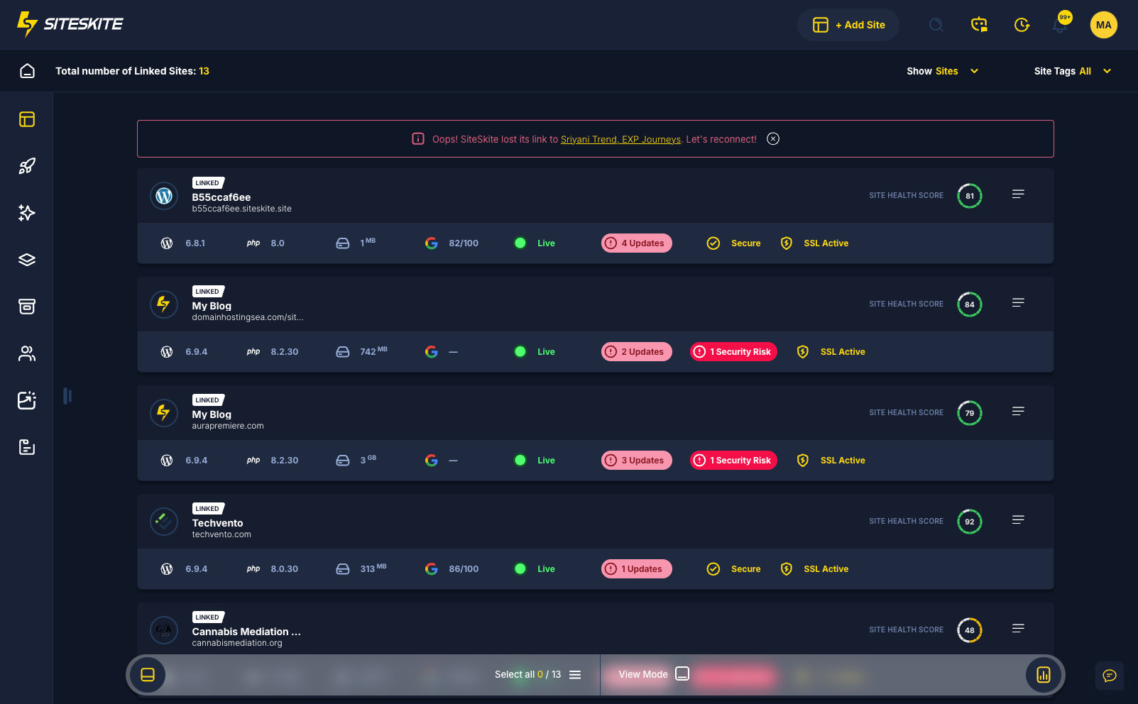 SiteSkite BirdEye list view of linked client sites